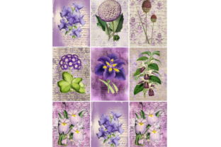 Download 9 Vintage ATC Cards, Ephemera Tags - Cards Collection